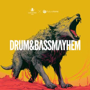 https://k1zyx3eyow.apb.spinupwp.site/product/drum-bass-mayhem/